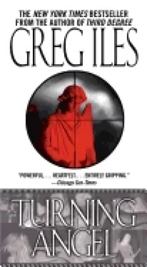 Image of turning angel a novel