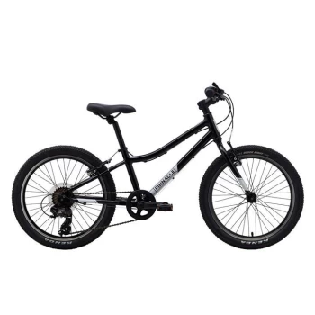 image of Pinnacle Ash 20" Kids Bike - Black