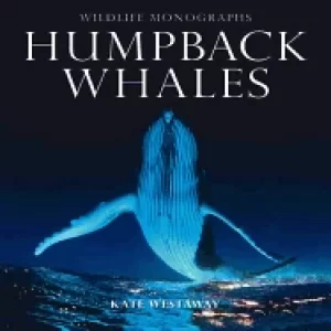 Image of humpback whales
