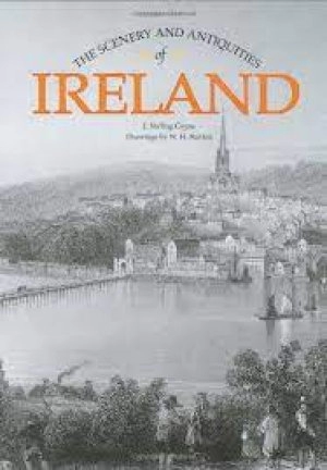 Image of The scenery and antiquities of Ireland by J. Stirling Coyne|W. H Bartlett