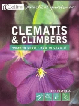 Image of Clematis and Climbers by John Feltwell Paperback