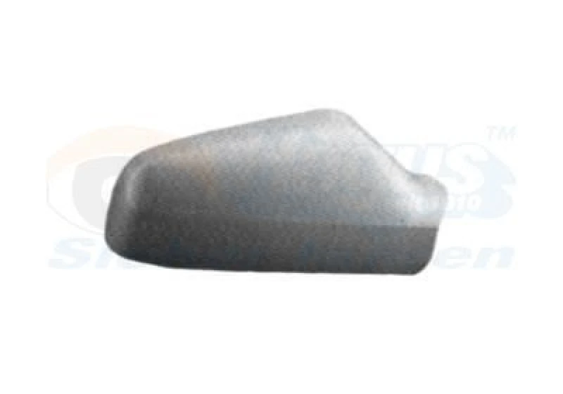 Image of VAN WEZEL Wing mirror cover VAN WEZEL 3742841