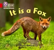Image of It is a Fox : Band 02b/Red B