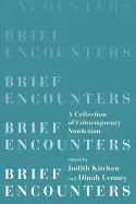 Image of brief encounters a collection of contemporary nonfiction