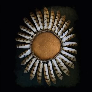 Image of Fauna - Avifauna Vinyl