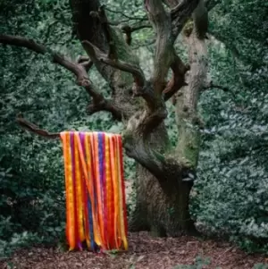 Image of The Animal Spirits by James Holden & The Animal Spirits CD Album