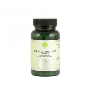 Image of B5 Pantothenic Acid 500mg 60's