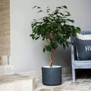 Image of Ivyline Leon Granite Planter - D28Cm