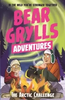 Image of A Bear Grylls Adventure 11: The Arctic Challenge