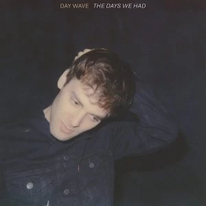 image of Day Wave - The Days We Had CD