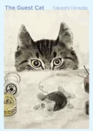 Image of guest cat