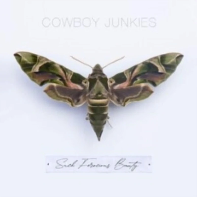 Image of Such Ferocious Beauty CD / Album