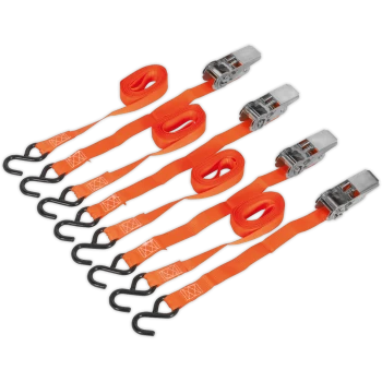 Image of Sealey Cam Buckle Tie Downs Strap 25mm 4m 500kg