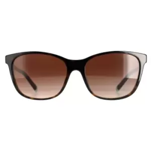 Image of Square Havana On Blue Brown Gradient TF4174B