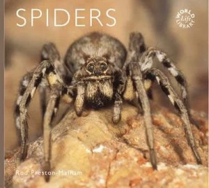 Image of Spiders by Rod Preston-Mafham and Colin Baxter Photography Paperback