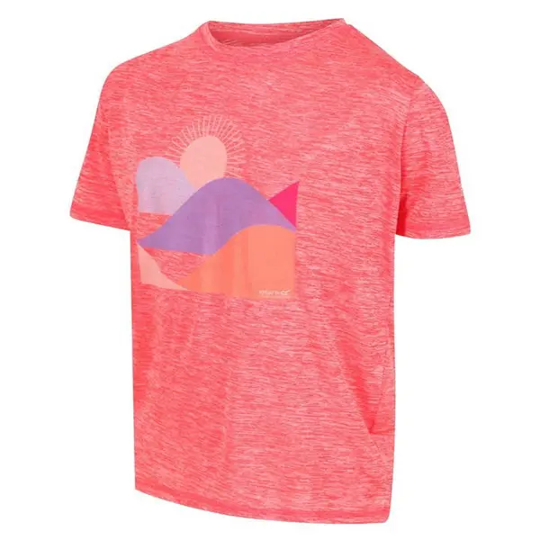 Image of Regatta Alvarado VI T-Shirt - Pink C5-C6