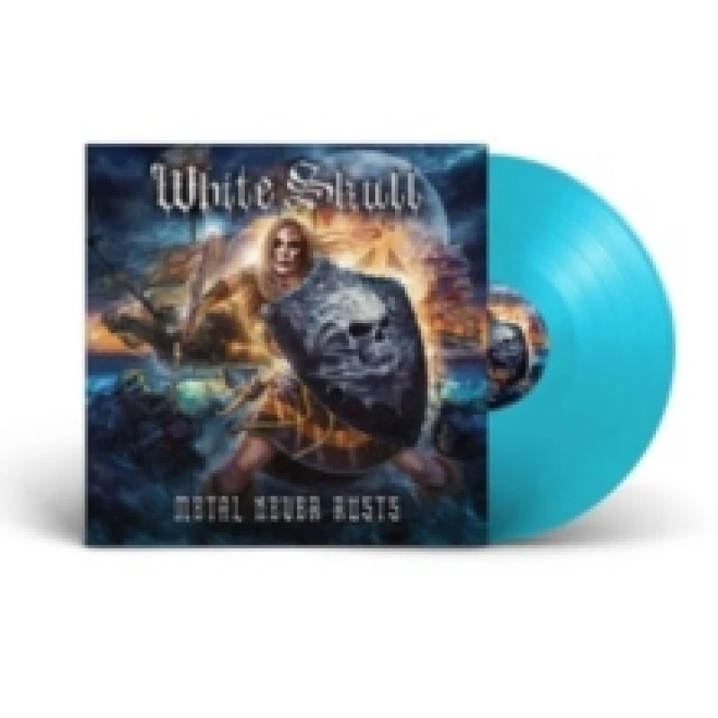 Image of Metal never rusts Vinyl