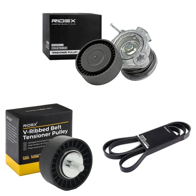 Image of RIDEX 542R0387 V-ribbed belt set V-Ribbed Belt Set (542)