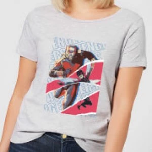 image of Marvel Avengers AntMan And Wasp Collage Womens T-Shirt - Grey - 3XL