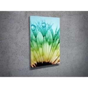 Image of DC031 Multicolor Decorative Canvas Painting