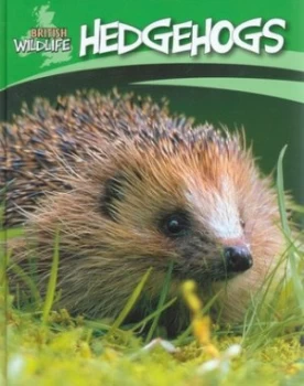 Image of Hedgehogs by Sally Morgan Hardback