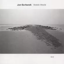 Image of Visible World