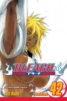 Image of Bleach Volume 42 by Tite Kubo