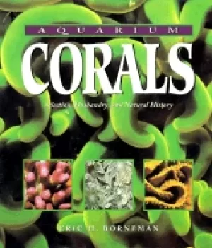 Image of Aquarium Corals by Eric Borneman