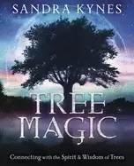 Image of tree magic connecting with the spirit and wisdom of trees