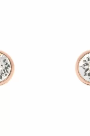 image of Ladies Karen Millen Rose Gold Plated Logo Stud Earring KMJ189-24-02