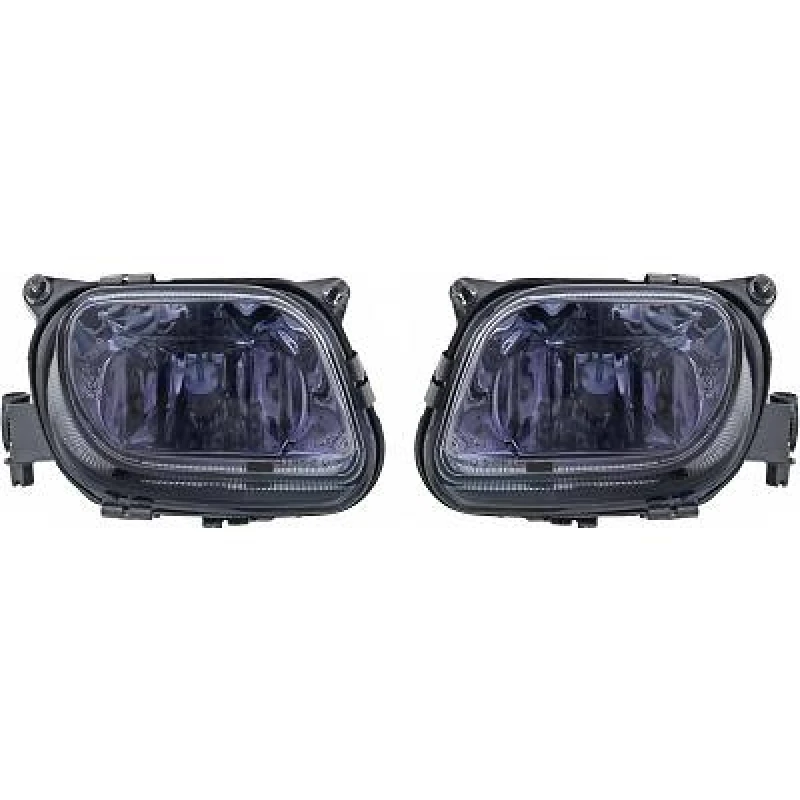 Image of Fog Light Set DIEDERICHS 1614289