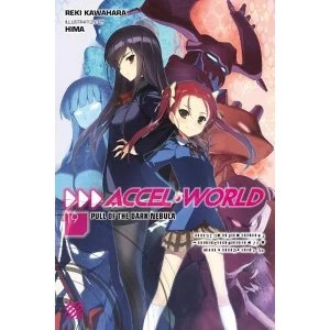 Image of Accel World, Vol. 19 (light novel)