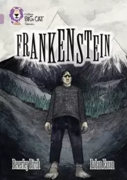 Image of Frankenstein - Beverley Birch - Paperback - Used