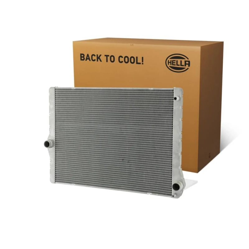 Image of HELLA Engine radiator HELLA 8MK 366 301-791