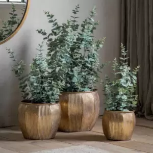 image of Crossland Grove Potted Eucalyptus Bush Green H680Mm