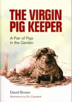 Image of The virgin pig keeper - David Brown - Paperback - Used
