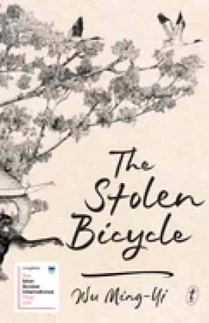 Image of stolen bicycle