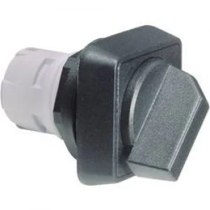 Image of Option key Black 1 x 90 RAFI