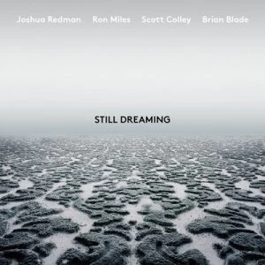 image of Still Dreaming Feat Ron Miles Scott Colley & Brian Blade by Joshua Redman CD Album