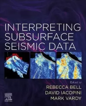Image of Interpreting Subsurface Seismic Data by REBECCA BELL