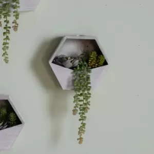 Image of Gallery Interiors Doyle Wall Planter With Echeveria Succulent Mix Cream And Green