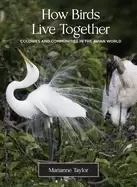 Image of how birds live together colonies and communities in the avian world