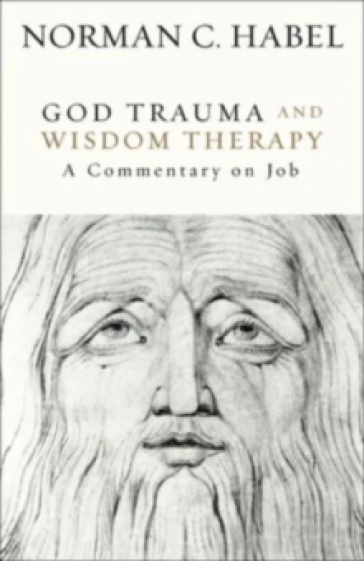 Image of God Trauma and Wisdom Therapy : A Commentary on Job Hardback