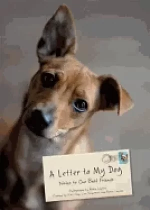 Image of letter to my dog notes to our best friends