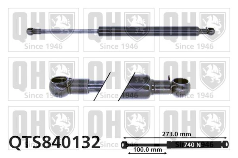 Image of QUINTON HAZELL Tailgate strut QUINTON HAZELL QTS840132