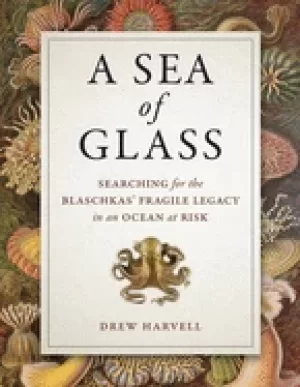 Image of sea of glass volume 13 searching for the blaschkas fragile legacy in an oc