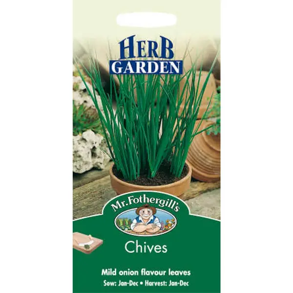Image of Mr. Fothergill's Chives (Allium Schoenoprasum) Seeds