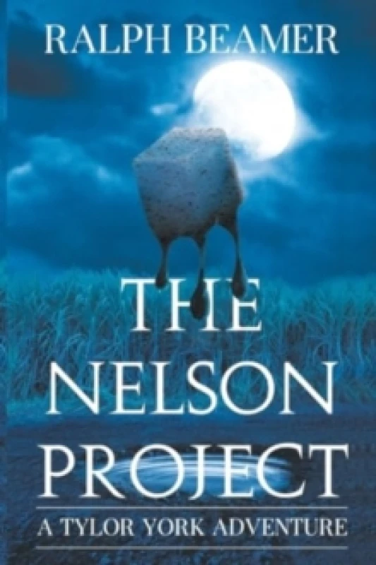 Image of The Nelson Project Paperback / softback