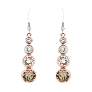 image of Ladies Karen Millen PVD rose plating Crystal Drop Earrings