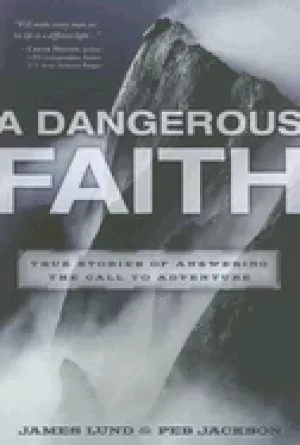 Image of dangerous faith true stories of answering the call to adventure